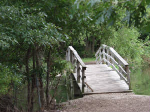 bridge.jpg