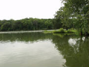 lakeview.jpg